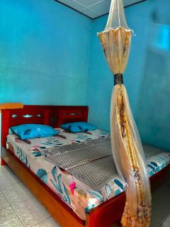 Jungle Life Guesthouse - River View & Orangutan Trekking - 5