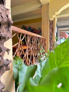 Jungle Life Guesthouse - River View & Orangutan Trekking - 4