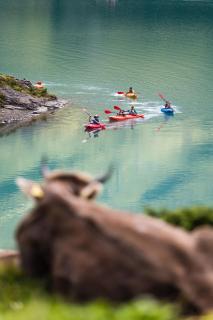 Central Serviced Apartment - 2