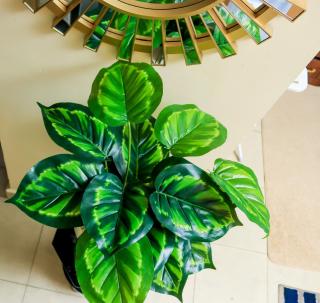 Cozy Studio, Cavendish Square, Keshy Home Stays - 7