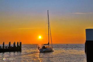 Hotel Havenzicht Texel - 7