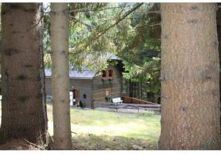 Lovely chalet in Alps - 5