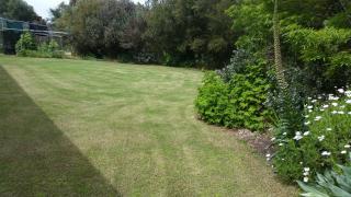 Padthaway Caravan Park - 2