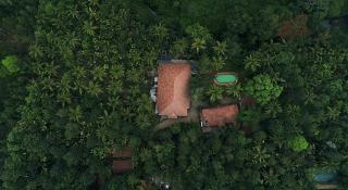 Orchid Trials Resort by Zeebull - 2