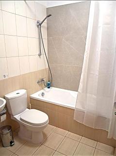 Cyprus Sunflower - 8