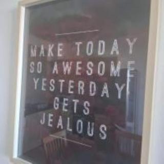 Cyprus Sunflower - 4