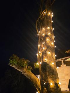 Sheari Eco Cottage Sajek - 4