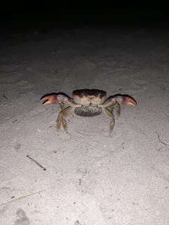 DGunayar Camping - 9