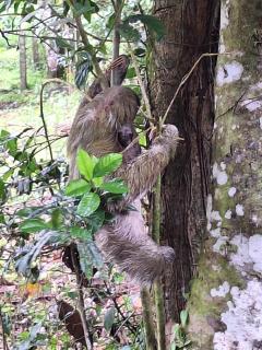 Cabañas Rusticas Raíz de Fuego - 1