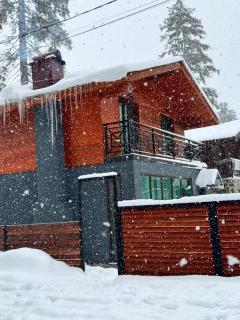 Amazing Villa in Bakuriani - 0