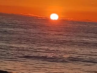 El Refugio del Carcinus - 5