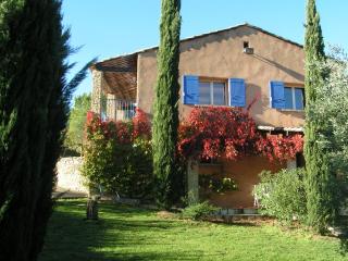 Gîte Bleu au milieu des oliviers - 8