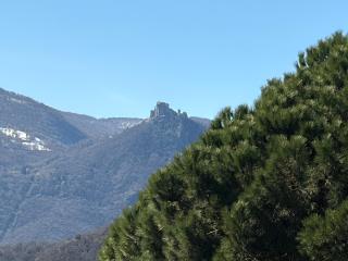 Uno sguardo sulla Sacra, Fiori e Frutti - 2