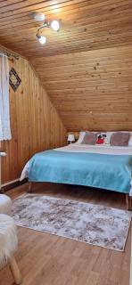 Pensiunea Floarea Dornei - 3