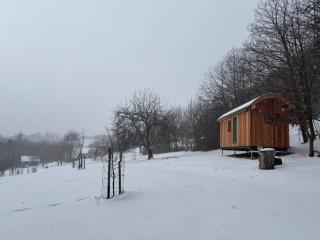 Sad u Harušťákov - 3