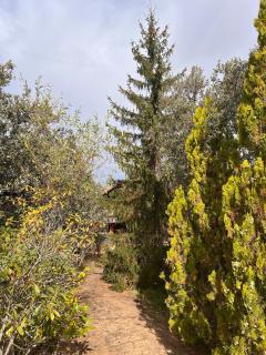 CASA MAIA cabaña de lujo en plena naturaleza - 7