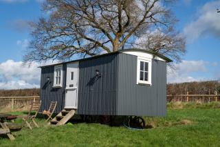 Glamping at Adult Only Hobby Farm - 7
