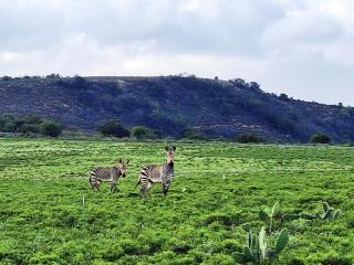 SoetHoek Farm Retreat Private Wildlife Escape - 7