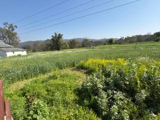 Maa Banglamukhi Temple - 2