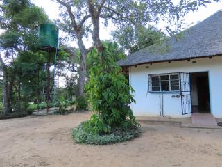 Schimper Mwenezi View - 2