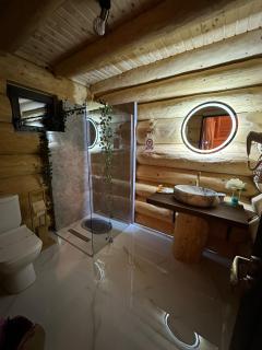 Chalet in Muntii Vrancei - 8