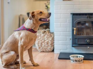 1 Bed in Brockenhurst oc-78005 - 3