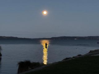 Jack & Di's Waiteti Lakefront Motel - 8