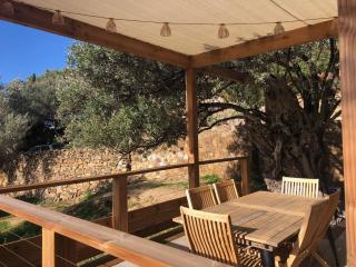 Maison au milieu des oliviers - 5