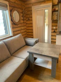 Cozy house with sauna and a fireplace - 5