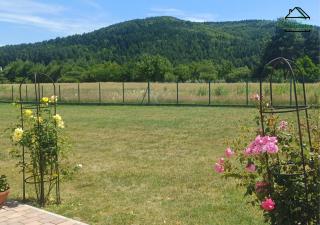 Noclegi Jaroszowice - 6