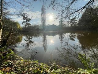 Gites la Rifflais - L'étang - vue sur étang privé - 7