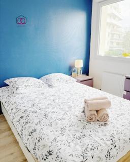 Le reflet de l'Ill - Appartement calme au bord de l'Ill - 9