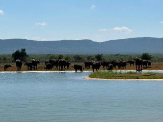 Stroomrivier Lodge - 9