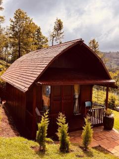 The Wooden by Slowlane Stays - 1