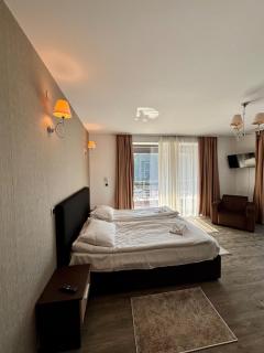 Mountain View Silver Apartment - 8