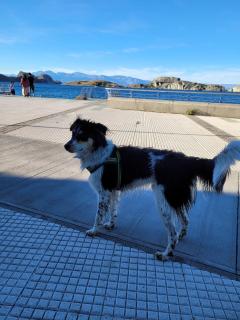 CABAÑAS RINCON SOLEADO, Chile Chico - 2