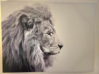 Minutes to Universal - Sunny Artist Loft Studio - 4