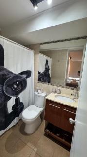 Departamento vista entel - 8