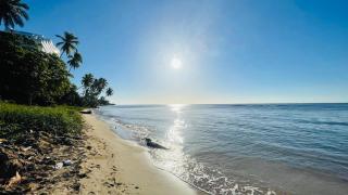 beachfront apartment - 4