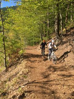 Romantisches Hirschhorn am Neckar - 6