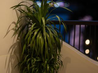 SEENERGY STAY Riverside - 2