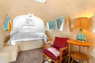 Wild Candy - Lil Dirt Cowboy - 6