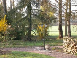 Cardamome - Saligny-sur-Roudon - 6