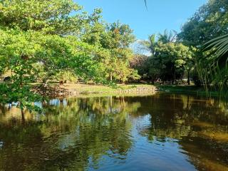 Tropical Garden Hideaway - Stonecutter - 9