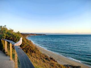 Sandringham Getaway near Beautiful Beach and Shops - 9