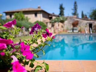 Novelleto - Monteriggioni - 5