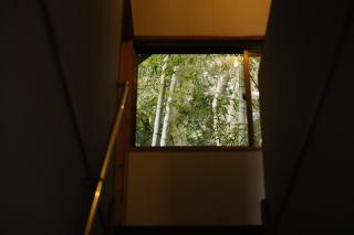 CLIP INN by RITO - 2