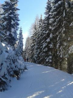 Appartement Hutegger - Schladming - 1