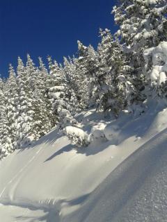 Appartement Hutegger - Schladming - 3