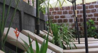 Popular Boutique Hotel - 2